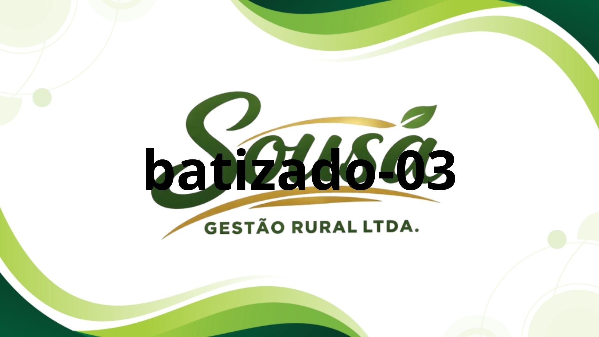 Batizado